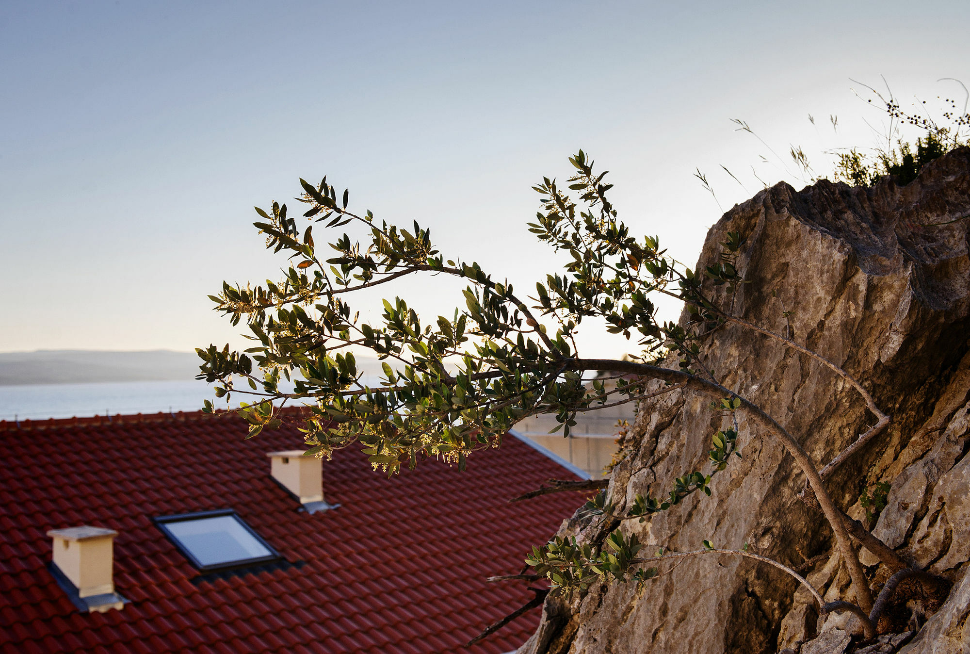 Villa Palloma Baška Voda Εξωτερικό φωτογραφία